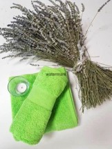 Uterák froté DELTA 50x90 apple green